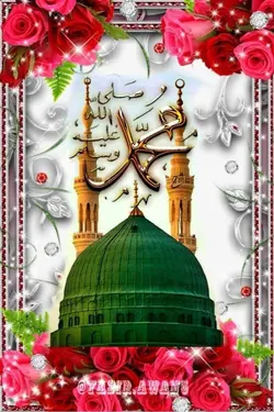 nice nice mashallah 