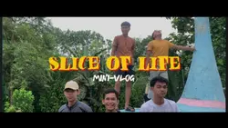 mini vlog