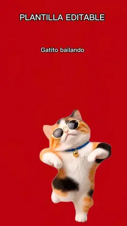 Gatito bailando