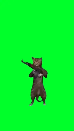 cat shooting gun