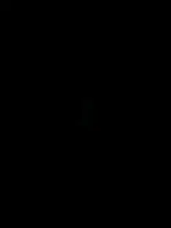 new template video
