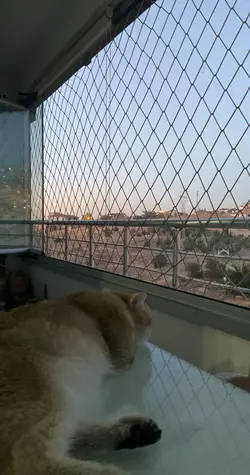3 yaş ergeni