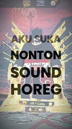 SukaNontonSoundHoreg