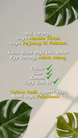 NEWBIE TIKTOK