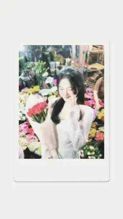 polaroid