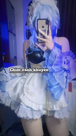 Chim vàng khuyên 🐣