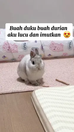 lucu dan imut