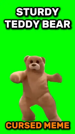 Sturdy Teddy Bear 