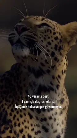 Kahveye güvenmeyin
