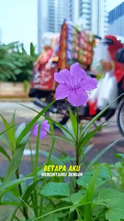 betapa aku mencintai
