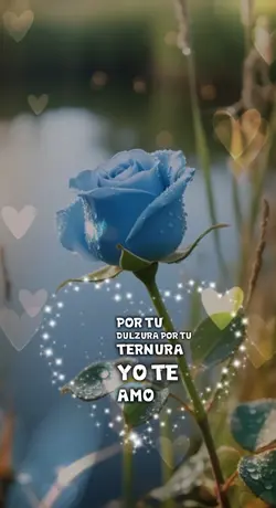 yo te amo