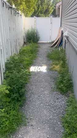 BEFORE AND AFTER 1️⃣