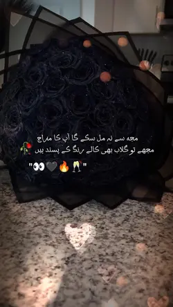 black colour lover