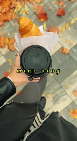 mini vlog