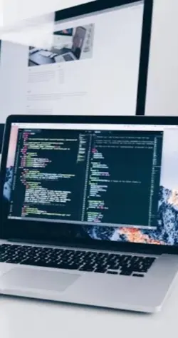 Website