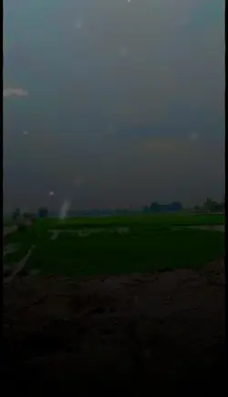 viral rain tampons 