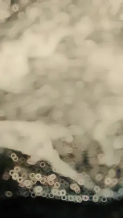 blur slowmo
