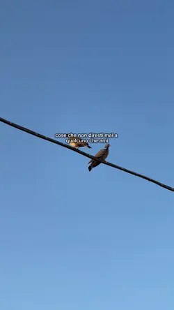 Perché sei così duro
