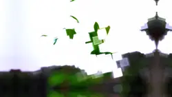 5 clip aesthetic