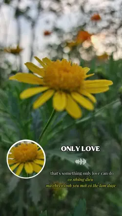 Only love