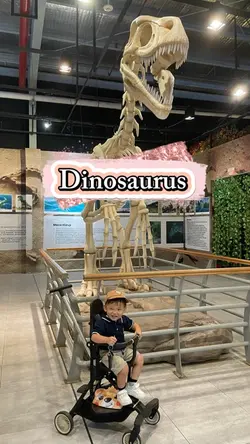 Dinosaurus 🦖🦕