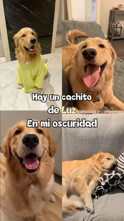 un cachito de luz 