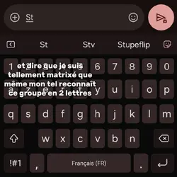 stupeflip 