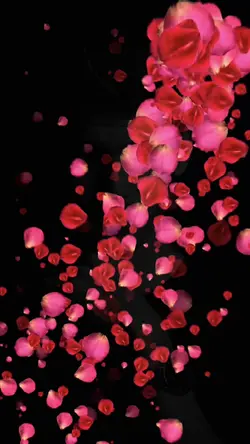 Red roses