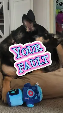 Your Fault