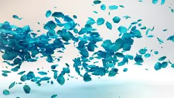 blue petals