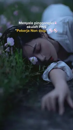 akulah PNS