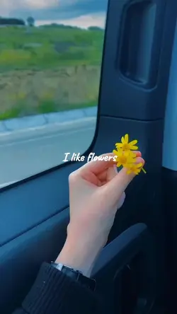 I like flowers
