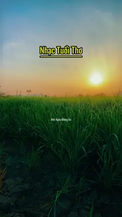 Nhạc Tuổi Thơ 