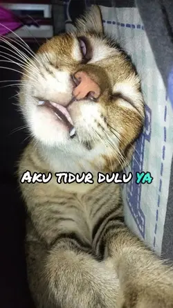 aku tidur dulu ya