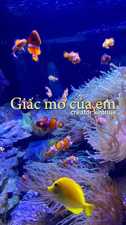 2 ảnh 