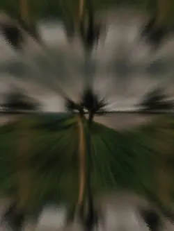 Bangla Trending Song