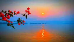 slow nhẹ + màu