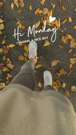 Hi Monday 🤍