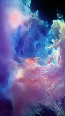 THE TRAILER 