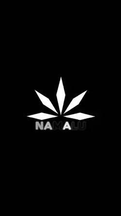 intro animasi kece