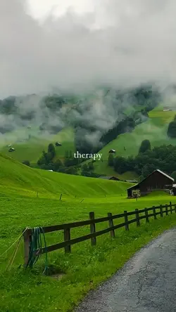 therapy 