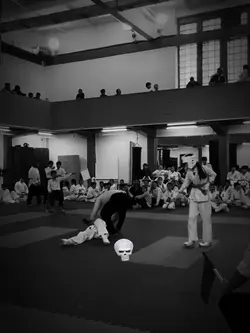 EDIT JIU JITSU 