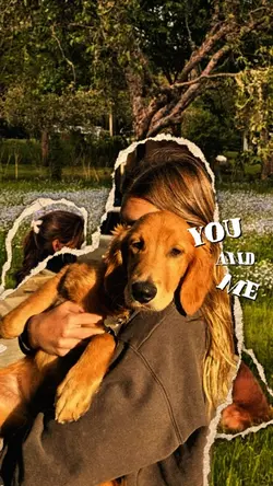 Dog cute cut out