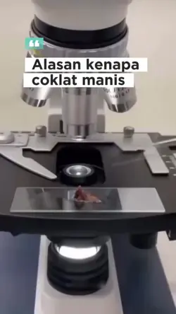 kenapa coklat manis