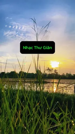 Nhạc Thư Giãn