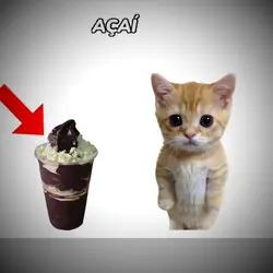 açaí com leite ninho