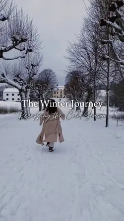 Winter Journey 