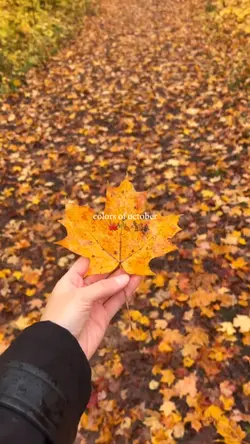 colors of october