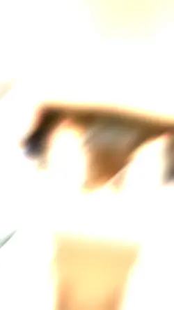 Moraisx7 Velocity