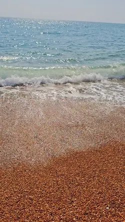 sea vibes beach 